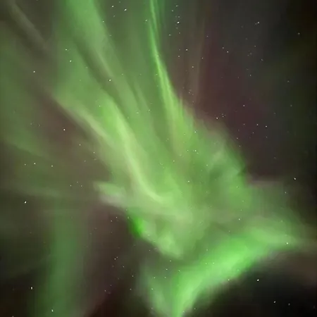 Traelvik Huset B Apartment *